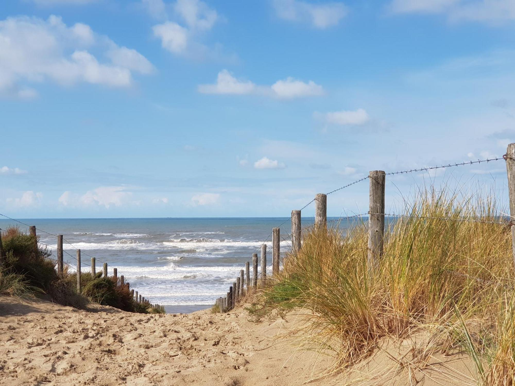 Hotel B&B Seahorse Katwijk aan Zee Exteriér fotografie